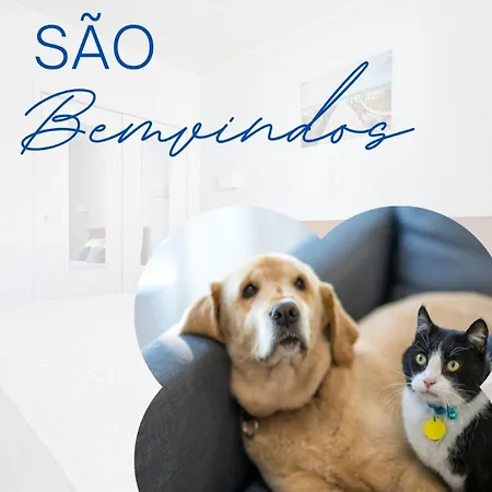 Casa Fernando * 포티마오