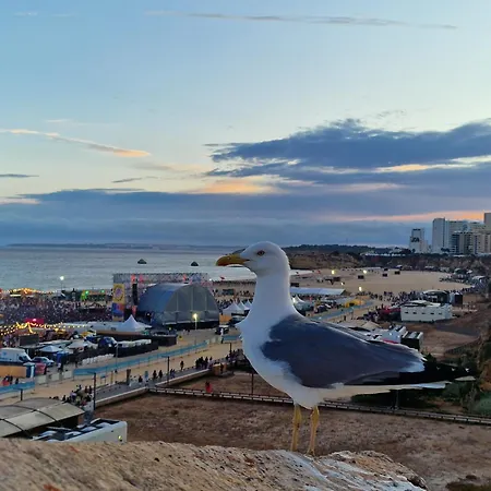 Casa Fernando Appartement